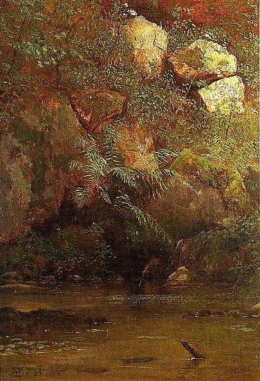 Ferns_and_Rocks_on_an_Embankment, Albert Bierstadt